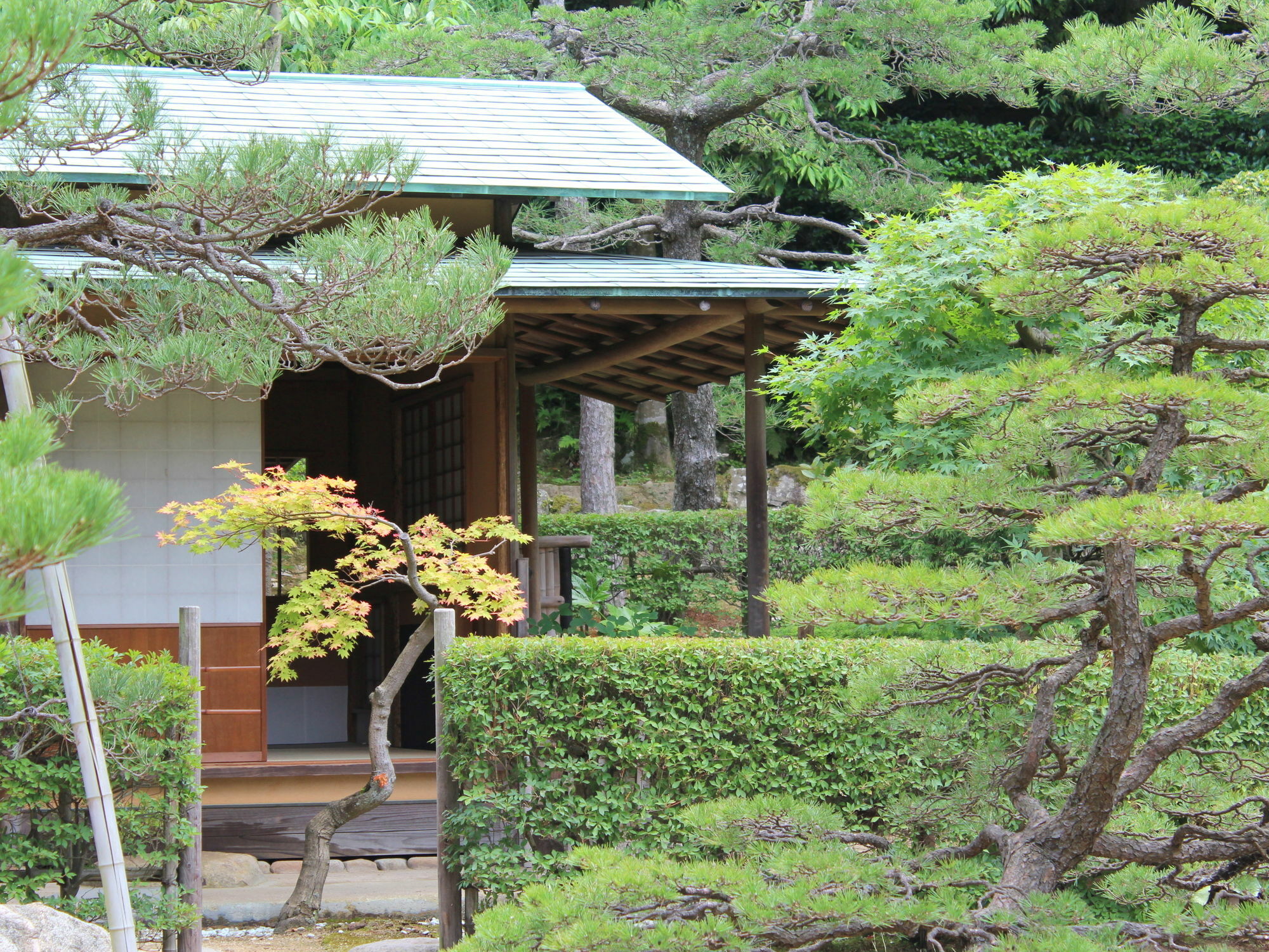 Hotel Gyokusen Matsue Ngoại thất bức ảnh